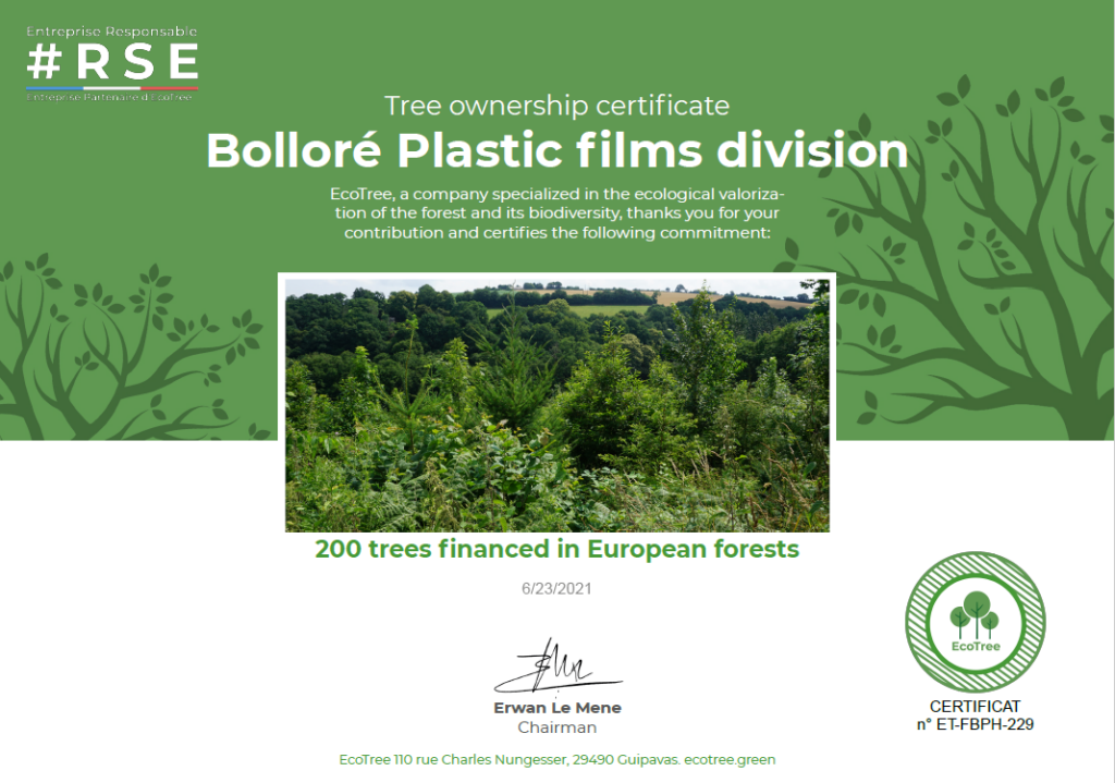 certificado